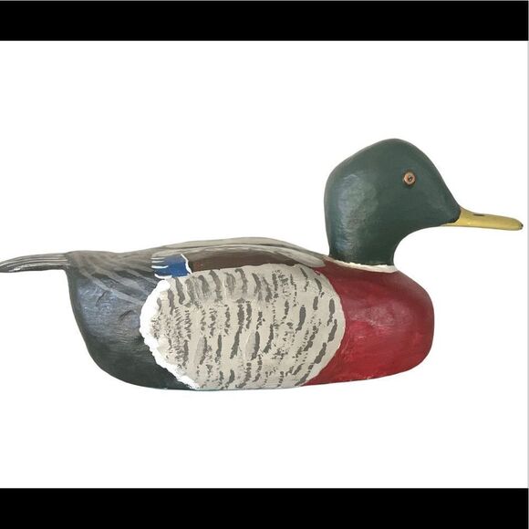 Mallard duck  - Picture 1 of 9